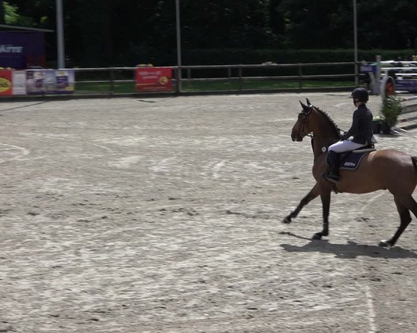 Reitturnier Klein Roscharden 2022
