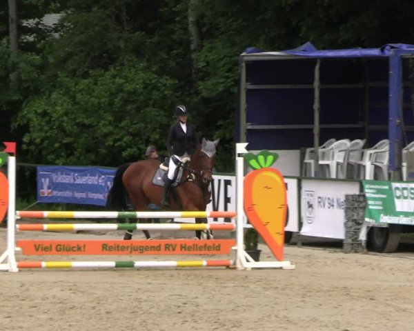 Reitturnier Hellefeld 2022