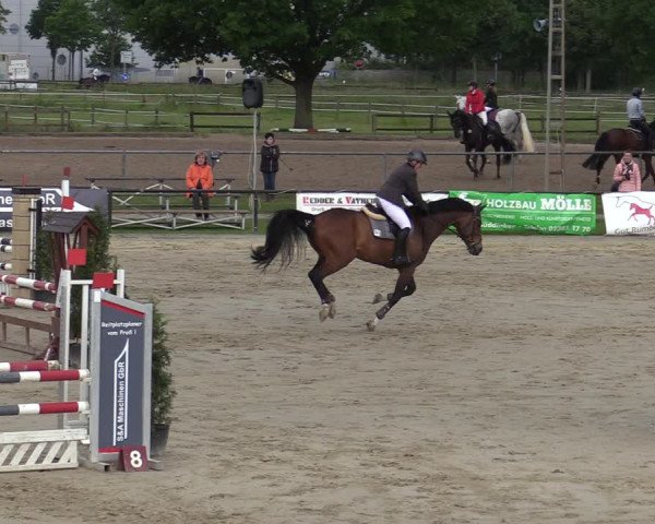 Reitturnier Hamm-Rhynern 2022
