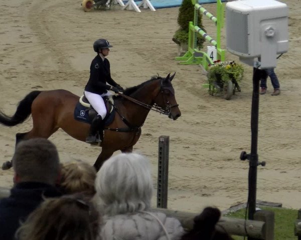 Reitturnier Wädenswil 2022