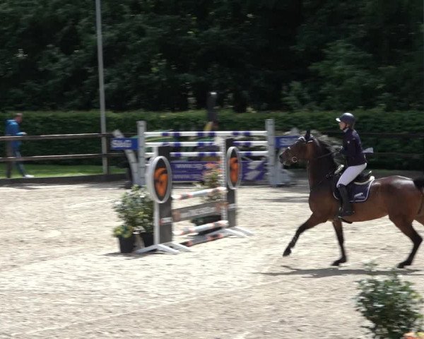 Reitturnier Klein Roscharden 2022
