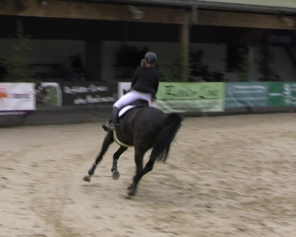 Reitturnier Hellefeld 2022