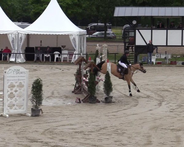 Reitturnier Hamm-Rhynern 2022