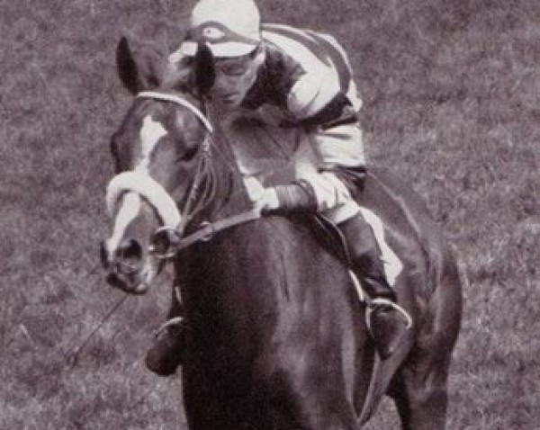 stallion Exbury xx (Thoroughbred, 1959, from Le Haar xx)