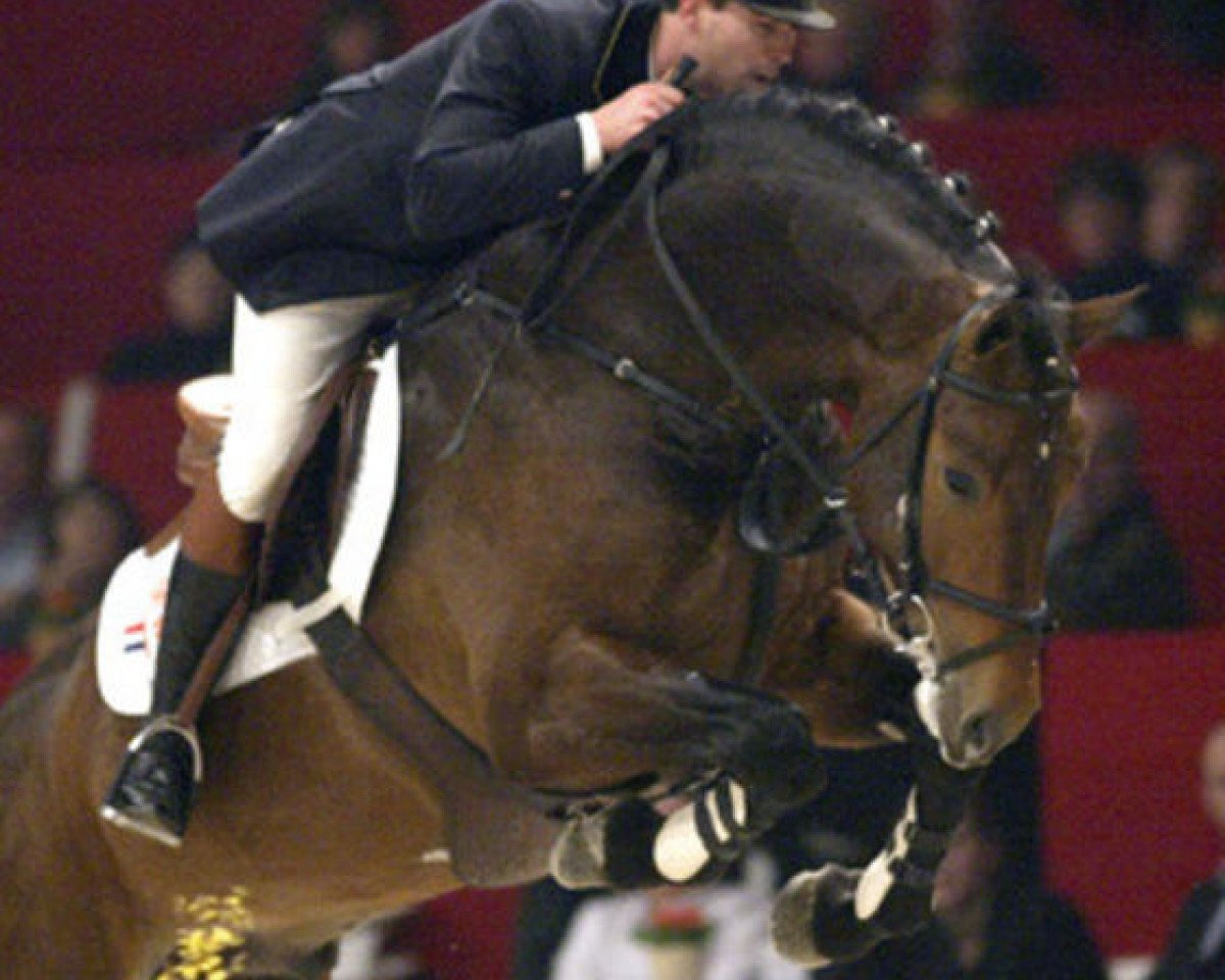stallion Sam R (KWPN (Royal Dutch Sporthorse), 1999, from Mermus R)