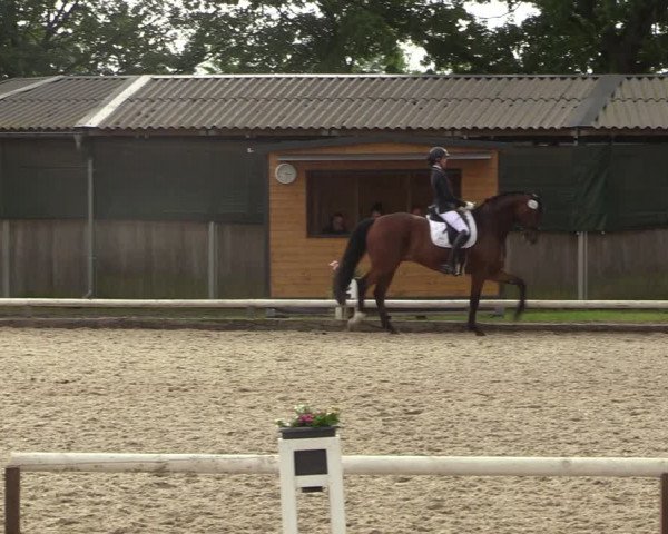Reitturnier Hamm-Rhynern 2022