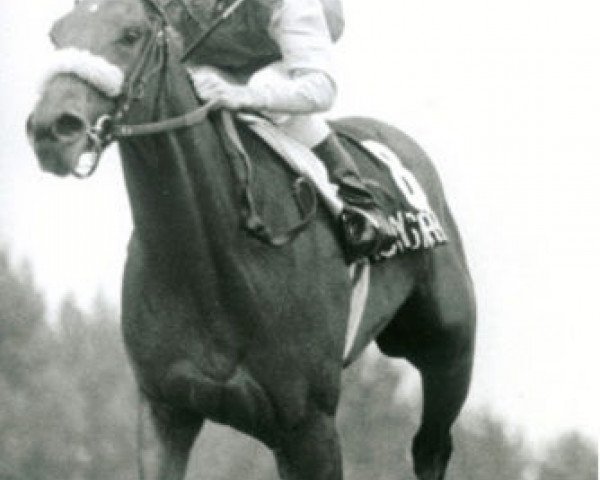 broodmare Classy 'n Smart xx (Thoroughbred, 1981, from Smarten xx)