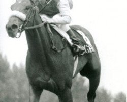 broodmare Classy 'n Smart xx (Thoroughbred, 1981, from Smarten xx)