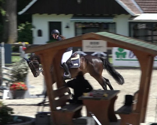 Reitturnier Klein Roscharden 2022