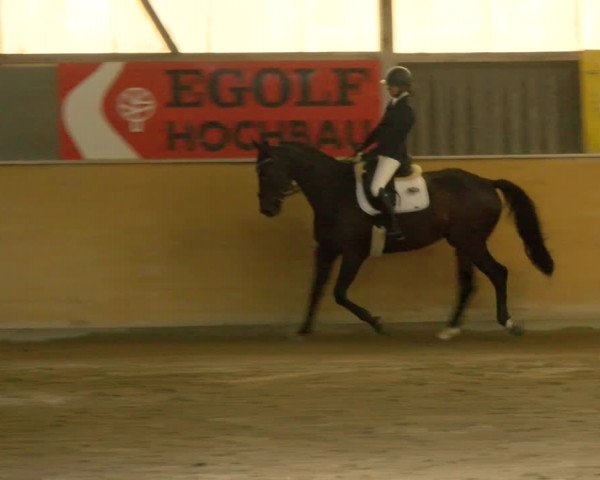Reitturnier Bissegg 2022