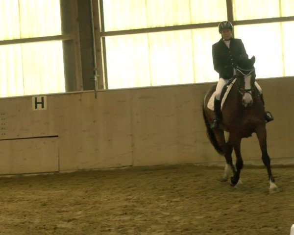 Reitturnier Bissegg 2022