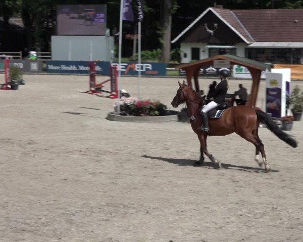 Reitturnier Klein Roscharden 2022