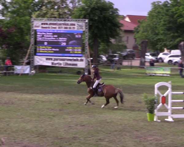 Reitturnier Königsborn 2022