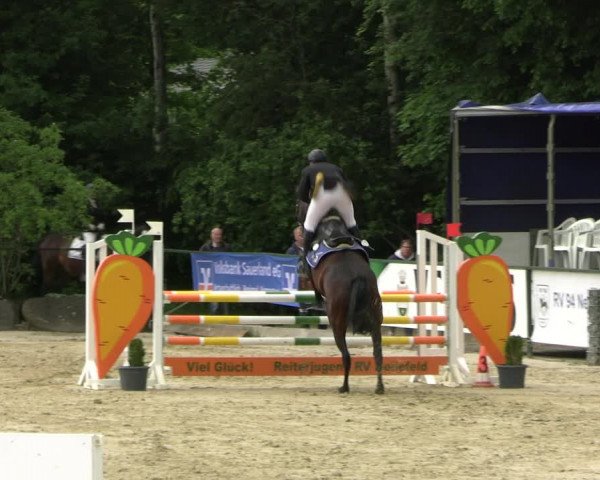 Reitturnier Hellefeld 2022