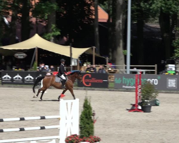 Reitturnier Klein Roscharden 2022
