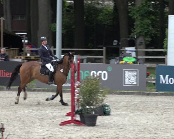 Reitturnier Klein Roscharden 2022
