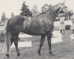 broodmare Herzroeschen (Trakehner, 1974, from Erzsand)