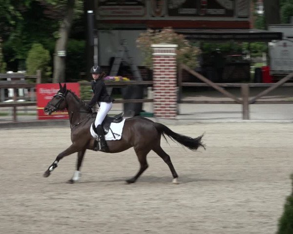 Reitturnier Klein Roscharden 2022