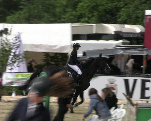 Reitturnier Hellefeld 2022