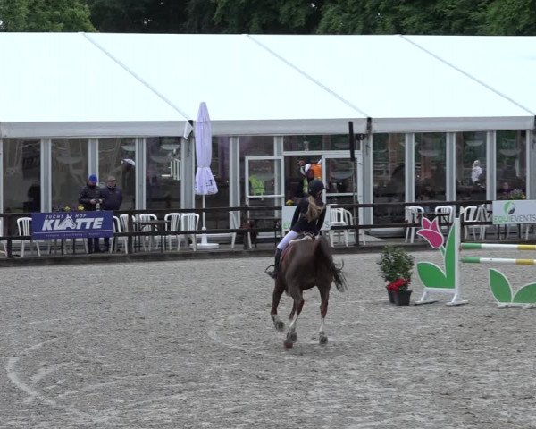 Reitturnier Klein Roscharden 2022