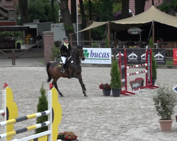 Reitturnier Klein Roscharden 2022