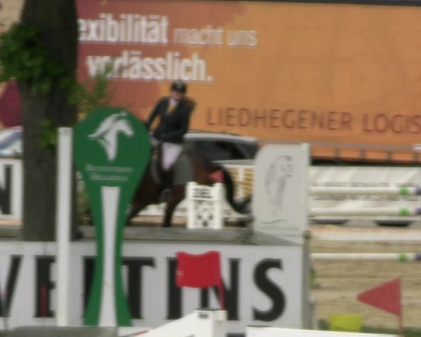 Reitturnier Hellefeld 2022