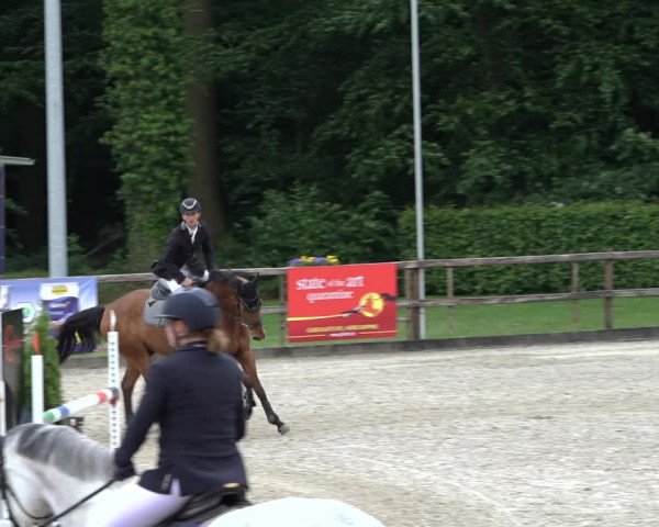 Reitturnier Klein Roscharden 2022