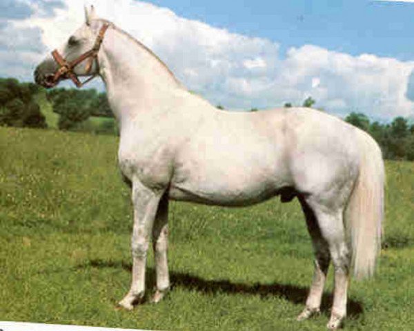 Deckhengst Phaeton xx (Englisches Vollblut, 1964, von Sicambre xx)