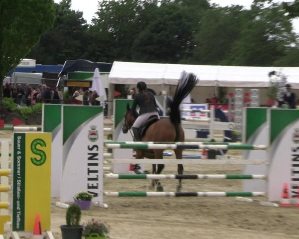 Reitturnier Hellefeld 2022