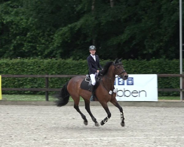 Reitturnier Klein Roscharden 2022