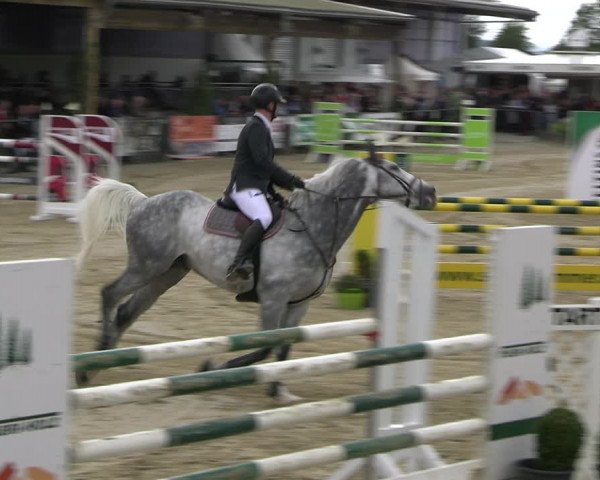 Reitturnier Hellefeld 2022