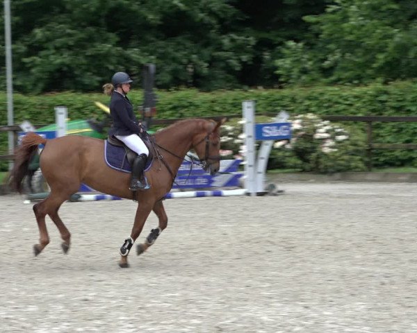 Reitturnier Klein Roscharden 2022