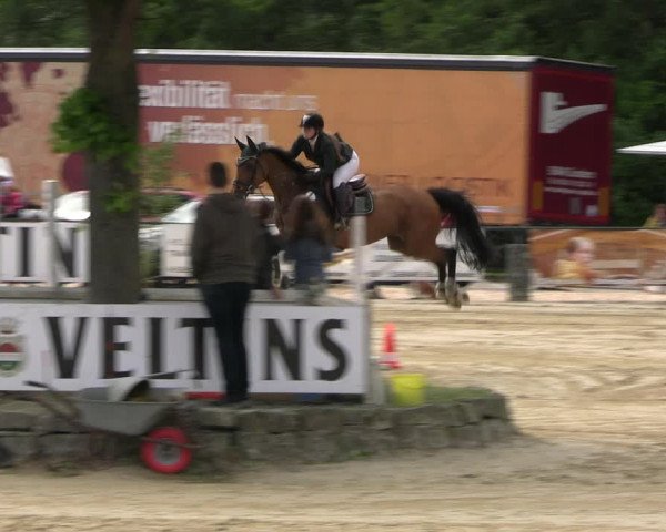Reitturnier Hellefeld 2022