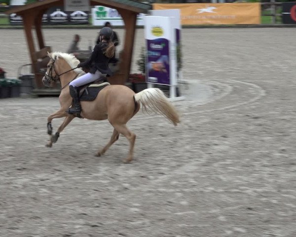 Reitturnier Klein Roscharden 2022
