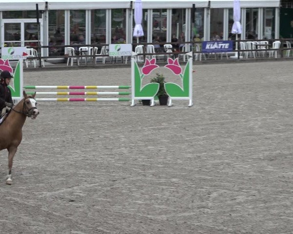 Reitturnier Klein Roscharden 2022