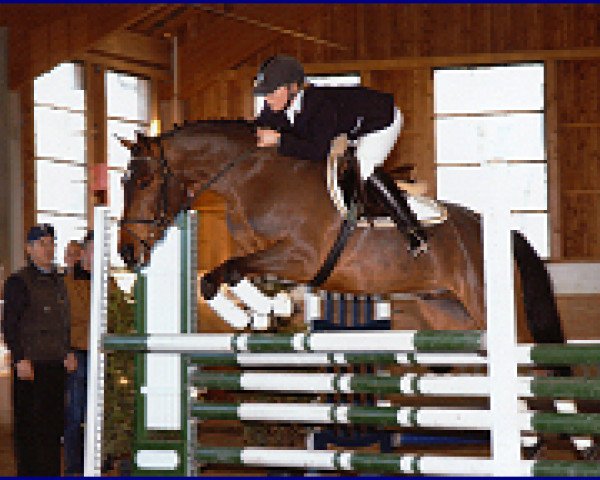 dressage horse Krottenthal's Dirty Harry (German Riding Pony, 1999, from Dusty)