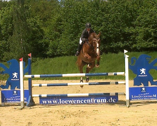 jumper Canterburry 2 (Hanoverian, 2005, from Charming 8)