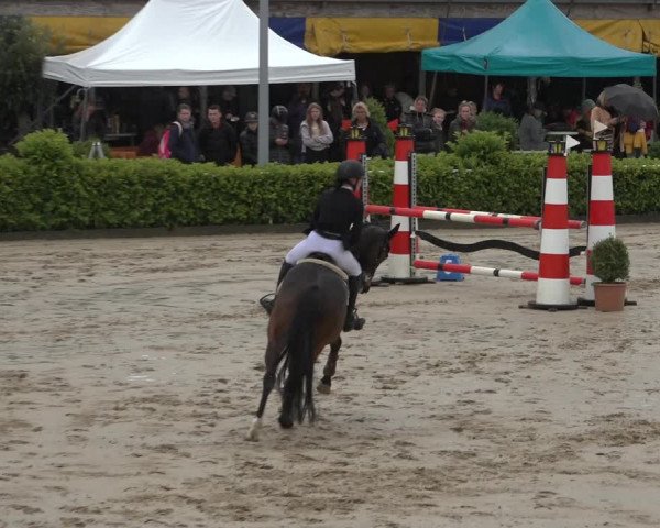 Reitturnier Bornheim-Widdig 2022