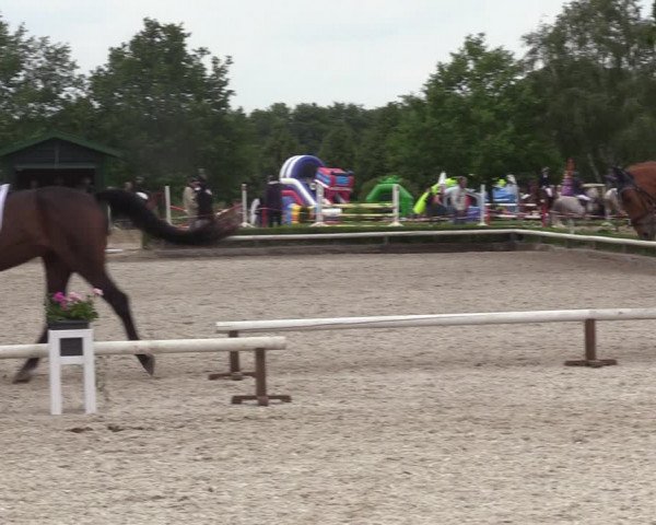 Reitturnier Hamm-Rhynern 2022