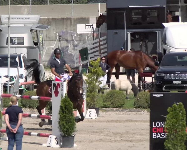 Reitturnier Basel Schänzli 2022