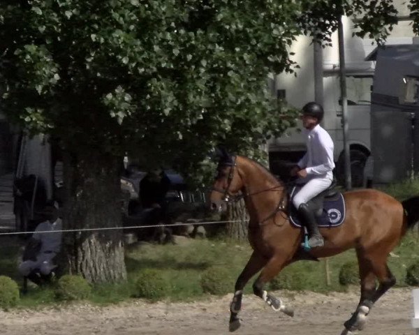 Reitturnier Basel Schänzli 2022