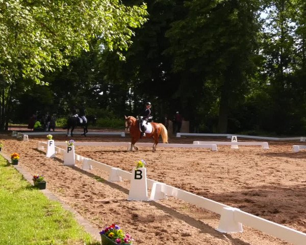 Reitturnier Königsborn 2022