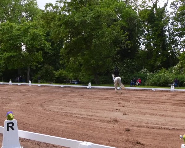 Reitturnier Königsborn 2022