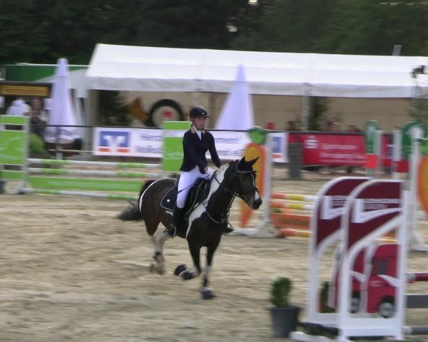 Reitturnier Hellefeld 2022