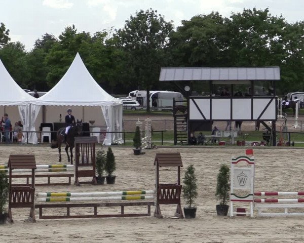 Reitturnier Hamm-Rhynern 2022