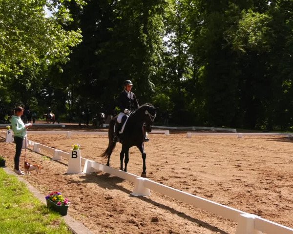 Reitturnier Königsborn 2022