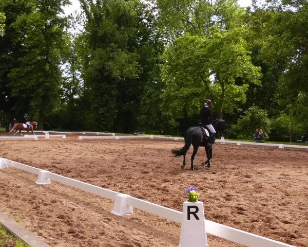 Reitturnier Königsborn 2022