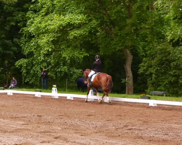 Reitturnier Königsborn 2022