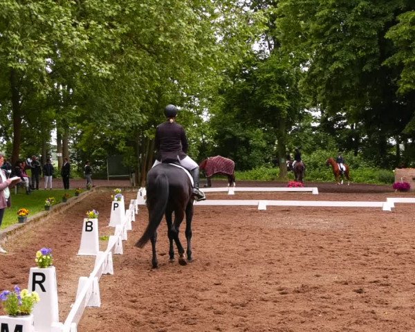 Reitturnier Königsborn 2022