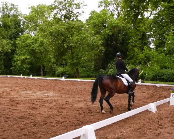 Reitturnier Königsborn 2022